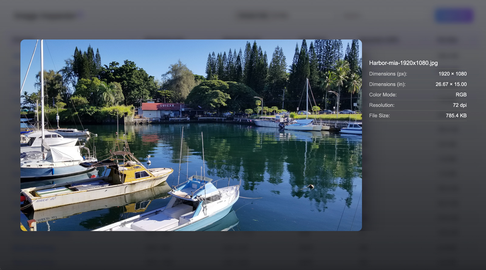 Image Metadata Inspector Tool - Image 2
